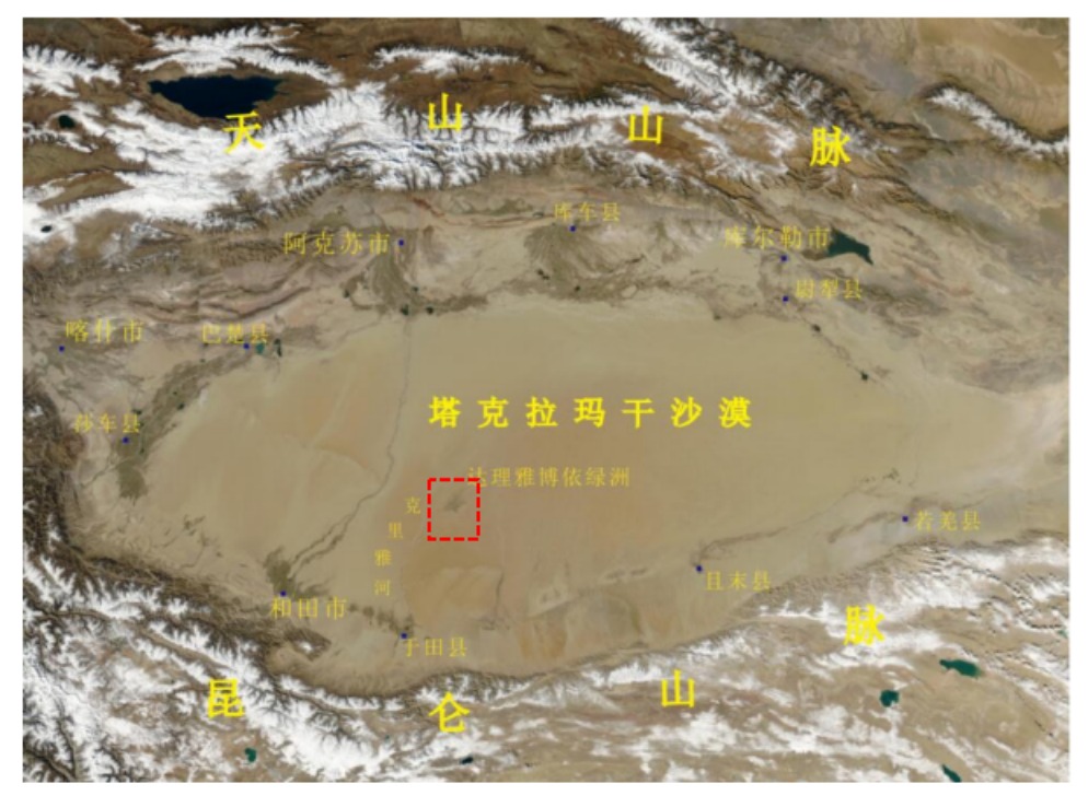 做爱麻豆